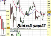 Análisis del sector biotech TMI