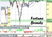 Análisis de Fortune Brands