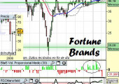 Análisis de Fortune Brands