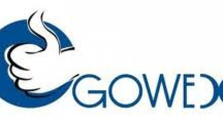 logogowex2