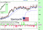 stericyclenoviembre2014