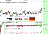 tag immobilien enero2014