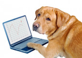 dog work on notebook